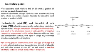 Comprehensive Overview of 2D Gel Electrophoresis in Proteomics and ...