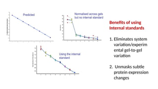 Comprehensive Overview of 2D Gel Electrophoresis in Proteomics and ...
