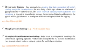 Comprehensive Overview of 2D Gel Electrophoresis in Proteomics and ...