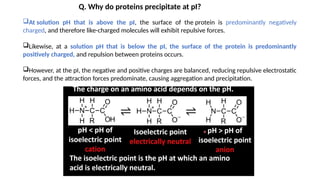 Comprehensive Overview of 2D Gel Electrophoresis in Proteomics and ...