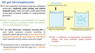 Comprehensive Overview of 2D Gel Electrophoresis in Proteomics and ...