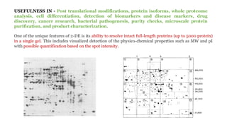 Comprehensive Overview of 2D Gel Electrophoresis in Proteomics and ...