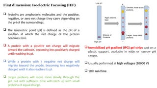 Comprehensive Overview of 2D Gel Electrophoresis in Proteomics and ...