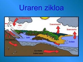 Uraren zikloa 