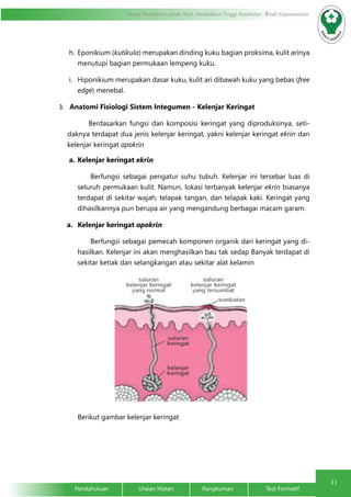 11 
Modul Pendidikan Jarak Jauh, Pendidikan Tinggi Kesehatan Prodi Keperawatan 
h. Eponikium (kutikula) merupakan dinding kuku bagian proksima, kulit arinya 
menutupi bagian permukaan lempeng kuku. 
i. Hiponikium merupakan dasar kuku, kulit ari dibawah kuku yang bebas (free 
edge) menebal. 
3. Anatomi Fisiologi Sistem Integumen - Kelenjar Keringat 
Berdasarkan fungsi dan komposisi keringat yang diproduksinya, seti-daknya 
terdapat dua jenis kelenjar keringat, yakni kelenjar keringat ekrin dan 
kelenjar keringat apokrin 
a. Kelenjar keringat ekrin 
Berfungsi sebagai pengatur suhu tubuh. Kelenjar ini tersebar luas di 
seluruh permukaan kulit. Namun, lokasi terbanyak kelenjar ekrin biasanya 
terdapat di sekitar wajah, telapak tangan, dan telapak kaki. Keringat yang 
dihasilkannya pun berupa air yang mengandung berbagai macam garam. 
a. Kelenjar keringat apokrin 
Berfungsi sebagai pemecah komponen organik dari keringat yang di-hasilkan. 
Kelenjar ini akan menghasilkan bau tak sedap Banyak terdapat di 
sekitar ketiak dan selangkangan atau sekitar alat kelamin 
Berikut gambar kelenjar keringat 
Pendahuluan Uraian Materi Rangkuman Test Formatif 
 