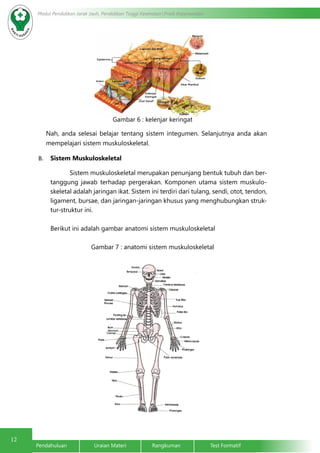 12 Modul Pendidikan Jarak Jauh, Pendidikan Tinggi Kesehatan Prodi Keperawatan 
Gambar 6 : kelenjar keringat 
Nah, anda selesai belajar tentang sistem integumen. Selanjutnya anda akan 
mempelajari sistem muskuloskeletal. 
B. Sistem Muskuloskeletal 
Sistem muskuloskeletal merupakan penunjang bentuk tubuh dan ber-tanggung 
jawab terhadap pergerakan. Komponen utama sistem muskulo-skeletal 
adalah jaringan ikat. Sistem ini terdiri dari tulang, sendi, otot, tendon, 
ligament, bursae, dan jaringan-jaringan khusus yang menghubungkan struk-tur- 
struktur ini. 
Berikut ini adalah gambar anatomi sistem muskuloskeletal 
Gambar 7 : anatomi sistem muskuloskeletal 
Pendahuluan Uraian Materi Rangkuman Test Formatif 
 