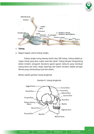 13 
Modul Pendidikan Jarak Jauh, Pendidikan Tinggi Kesehatan Prodi Keperawatan 
1. Tulang 
a. Bagian-bagian utama tulang rangka. 
Tulang rangka orang dewasa terdiri atas 206 tulang. Tulang adalah ja-ringan 
hidup yang akan suplai saraf dan darah. Tulang banyak mengandung 
bahan kristalin anorganik (terutama garam-garam kalsium) yang membuat 
tulang keras dan kaku, tetapi sepertiga dari bahan tersebut adalah jaringan 
fibrosa yang membuatnya kuat dan elastis. 
Berikut adalah gambar tulang tengkorak 
Gambar 8 : tulang tengkorak 
Pendahuluan Uraian Materi Rangkuman Test Formatif 
 