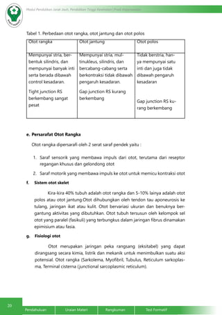 20 Modul Pendidikan Jarak Jauh, Pendidikan Tinggi Kesehatan Prodi Keperawatan 
Tabel 1. Perbedaan otot rangka, otot jantung dan otot polos 
Otot rangka Otot jantung Otot polos 
Mempunyai stria, ber-bentuk 
silindris, dan 
mempunyai banyak inti 
serta berada dibawah 
control kesadaran. 
Tight junction RS 
berkembang sangat 
pesat 
Mempunyai stria, mul-tinukleus, 
silindris, dan 
bercabang-cabang serta 
berkontraksi tidak dibawah 
pengaruh kesadaran. 
Gap junction RS kurang 
berkembang 
Tidak berstria, han-ya 
mempunyai satu 
inti dan juga tidak 
dibawah pengaruh 
kesadaran 
Gap junction RS ku-rang 
berkembang 
e. Persarafat Otot Rangka 
Otot rangka dipersarafi oleh 2 serat saraf pendek yaitu : 
1. Saraf sensorik yang membawa impuls dari otot, terutama dari reseptor 
regangan khusus dan gelondong otot 
2. Saraf motorik yang membawa impuls ke otot untuk memicu kontraksi otot 
f. Sistem otot skelet 
Kira-kira 40% tubuh adalah otot rangka dan 5-10% lainya adalah otot 
polos atau otot jantung.Otot dihubungkan oleh tendon tau aponeurosis ke 
tulang, jaringan ikat atau kulit. Otot bervariasi ukuran dan benuknya ber-gantung 
aktivitas yang dibutuhkan. Otot tubuh tersusun oleh kelompok sel 
otot yang paralel (fasikuli) yang terbungkus dalam jaringan fibrus dinamakan 
epimisium atau fasia. 
g. Fisiologi otot 
Otot merupakan jaringan peka rangsang (eksitabel) yang dapat 
dirangsang secara kimia, listrik dan mekanik untuk menimbulkan suatu aksi 
potensial. Otot rangka (Sarkolema, Myofibril, Tubulus, Reticulum sarkoplas-ma, 
Terminal cisterna (junctional sarcoplasmic reticulum). 
Pendahuluan Uraian Materi Rangkuman Test Formatif 
 