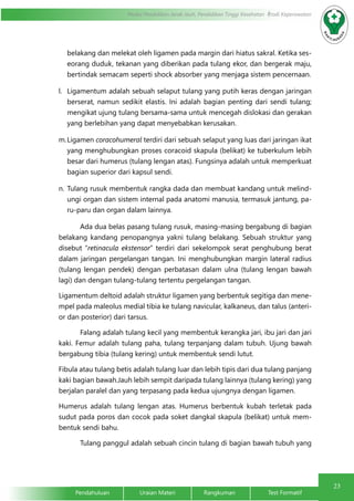23 
Modul Pendidikan Jarak Jauh, Pendidikan Tinggi Kesehatan Prodi Keperawatan 
belakang dan melekat oleh ligamen pada margin dari hiatus sakral. Ketika ses-eorang 
duduk, tekanan yang diberikan pada tulang ekor, dan bergerak maju, 
bertindak semacam seperti shock absorber yang menjaga sistem pencernaan. 
l. Ligamentum adalah sebuah selaput tulang yang putih keras dengan jaringan 
berserat, namun sedikit elastis. Ini adalah bagian penting dari sendi tulang; 
mengikat ujung tulang bersama-sama untuk mencegah dislokasi dan gerakan 
yang berlebihan yang dapat menyebabkan kerusakan. 
m. Ligamen coracohumeral terdiri dari sebuah selaput yang luas dari jaringan ikat 
yang menghubungkan proses coracoid skapula (belikat) ke tuberkulum lebih 
besar dari humerus (tulang lengan atas). Fungsinya adalah untuk memperkuat 
bagian superior dari kapsul sendi. 
n. Tulang rusuk membentuk rangka dada dan membuat kandang untuk melind-ungi 
organ dan sistem internal pada anatomi manusia, termasuk jantung, pa-ru- 
paru dan organ dalam lainnya. 
Ada dua belas pasang tulang rusuk, masing-masing bergabung di bagian 
belakang kandang penopangnya yakni tulang belakang. Sebuah struktur yang 
disebut “retinacula ekstensor” terdiri dari sekelompok serat penghubung berat 
dalam jaringan pergelangan tangan. Ini menghubungkan margin lateral radius 
(tulang lengan pendek) dengan perbatasan dalam ulna (tulang lengan bawah 
lagi) dan dengan tulang-tulang tertentu pergelangan tangan. 
Ligamentum deltoid adalah struktur ligamen yang berbentuk segitiga dan mene-mpel 
pada maleolus medial tibia ke tulang navicular, kalkaneus, dan talus (anteri-or 
dan posterior) dari tarsus. 
Falang adalah tulang kecil yang membentuk kerangka jari, ibu jari dan jari 
kaki. Femur adalah tulang paha, tulang terpanjang dalam tubuh. Ujung bawah 
bergabung tibia (tulang kering) untuk membentuk sendi lutut. 
Fibula atau tulang betis adalah tulang luar dan lebih tipis dari dua tulang panjang 
kaki bagian bawah.Jauh lebih sempit daripada tulang lainnya (tulang kering) yang 
berjalan paralel dan yang terpasang pada kedua ujungnya dengan ligamen. 
Humerus adalah tulang lengan atas. Humerus berbentuk kubah terletak pada 
sudut pada poros dan cocok pada soket dangkal skapula (belikat) untuk mem-bentuk 
sendi bahu. 
Tulang panggul adalah sebuah cincin tulang di bagian bawah tubuh yang 
Pendahuluan Uraian Materi Rangkuman Test Formatif 
 