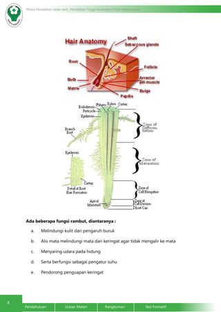8 Modul Pendidikan Jarak Jauh, Pendidikan Tinggi Kesehatan Prodi Keperawatan 
Ada beberapa fungsi rambut, diantaranya : 
a. Melindungi kulit dari pengaruh buruk 
b. Alis mata melindungi mata dari keringat agar tidak mengalir ke mata 
c. Menyaring udara pada hidung 
d. Serta berfungsi sebagai pengatur suhu 
e. Pendorong penguapan keringat 
Pendahuluan Uraian Materi Rangkuman Test Formatif 
 
