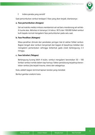 9 
Modul Pendidikan Jarak Jauh, Pendidikan Tinggi Kesehatan Prodi Keperawatan 
f. Indera peraba yang sensitif 
Saat pertumbuhan rambut terdapat 3 fase yang akan terjadi, diantaranya : 
a. Fase pertumbuhan (Anagen) 
Sel-sel matriks melalui mitosis membentuk sel-sel baru mendorong sel-sel leb-ih 
tua ke atas. Aktivitas ini lamanya 2-6 tahun. 90 % dari 100.000 folikel rambut 
kulit kepala normal mengalami fase pertumbuhan pada satu saat. 
b. Fase Peralihan (Katagen) 
Masa peralihan dimulai dari penebalan jaringan ikat di sekitar folikel rambut. 
Bagian tengah akar rambut menyempit dan bagian di bawahnya melebar dan 
mengalami pertandukan sehingga terbentuk gada (club) berlangsung 2-3 
minggu. 
c. Fase Istirahat (Telogen) 
Berlangsung kurang lebih 4 bulan, rambut mengalami kerontokan 50 – 100 
lembar rambut rontok dalam tiap harinya. Faktor pendukung terjadinya keron-tokan 
rambut jika terjadi trauma, stress dan sebagainya. 
Kuku adalah bagian terminal lapisan tanduk yang menebal. 
Berikut gambar anatomi kuku 
Pendahuluan Uraian Materi Rangkuman Test Formatif 
 