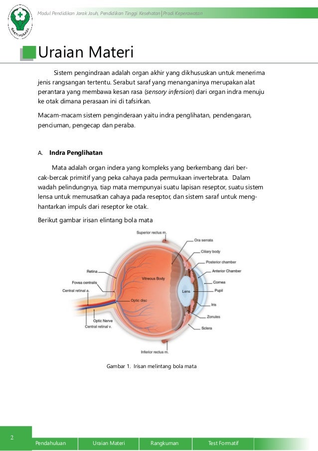 Sistem Penginderaan 42331440