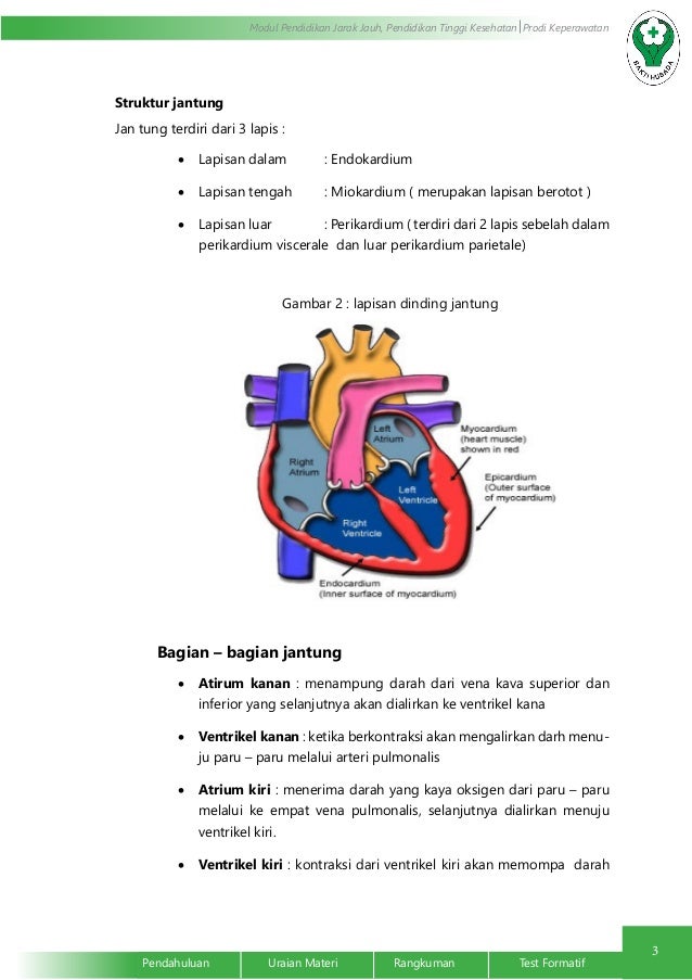 Sistem Kardiovaskuler dan Peredaran darah, Sistem Limfatik 