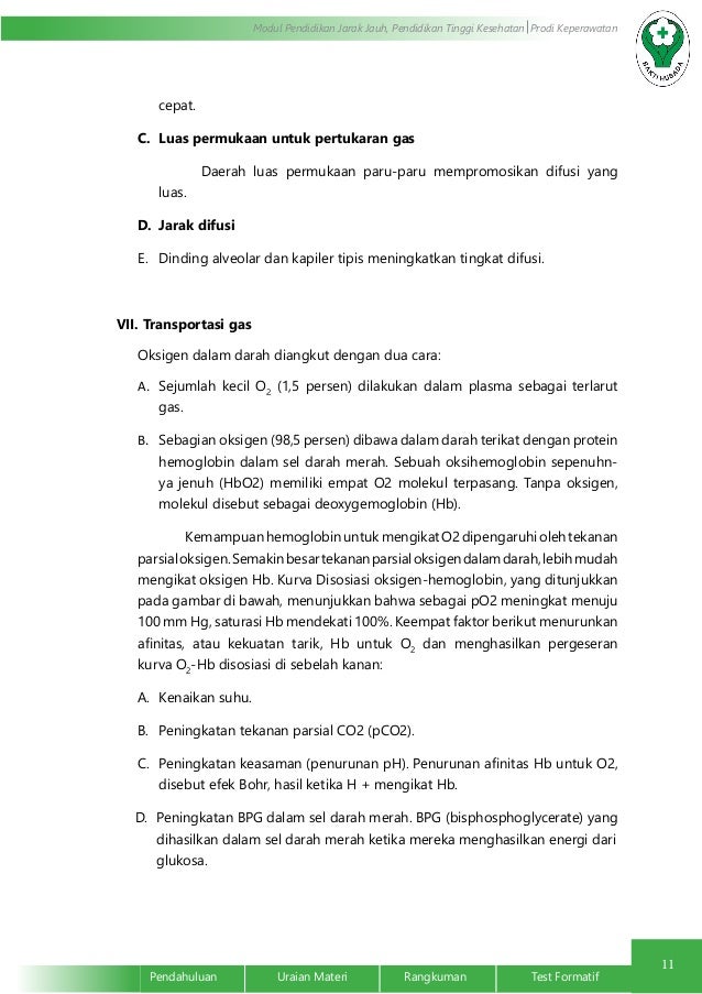 Anatomi Fisiologi Sistem Pernafasan (Respirasi)
