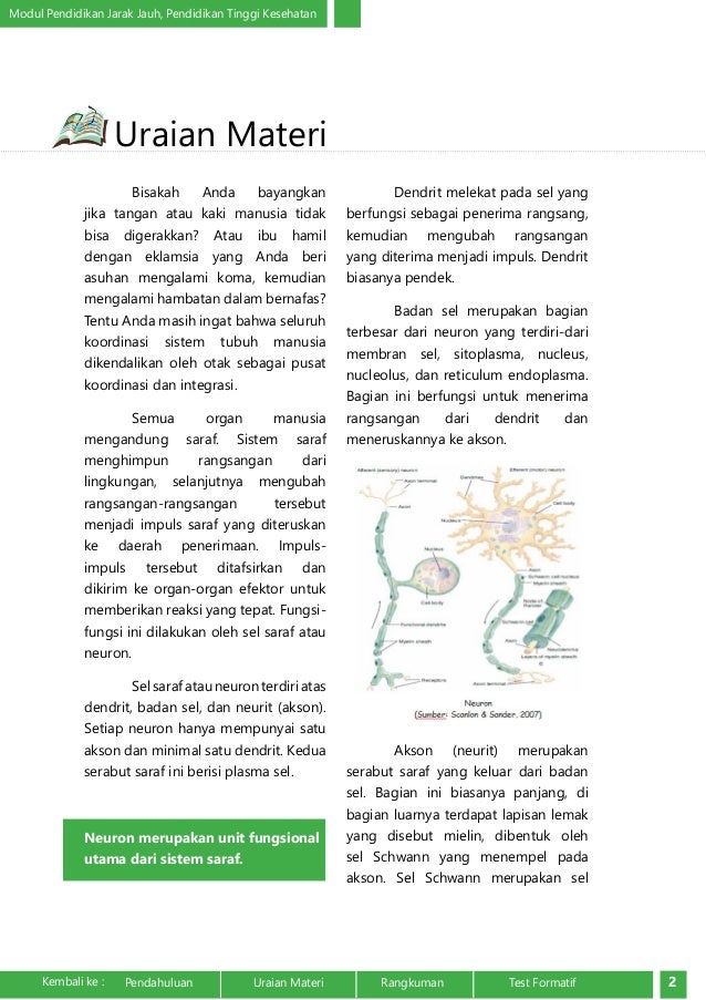 Anatomi Dan Fisiologi Sistem Saraf Anatomi Dan Fisiologi Sistem Saraf