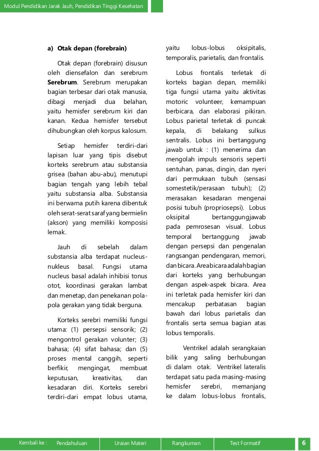 Anatomi dan Fisiologi Sistem Saraf