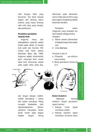Modul Pendidikan Jarak Jauh, Pendidikan Tinggi Kesehatan 
rekti dengan lebar yang 
bervariasi. Jika berat banyak 
bagian dari dinding uterus 
anterior yang hanya tertutup 
oleh kulit, fasia yang menipis, 
dan peritoneum 
Perubahan-perubahan 
Vaskular Kulit 
Angioma, nevus, dan 
telangiektasis (vaskular spider) 
timbul pada sekitar 2/3 wanita 
kulit putih dan kira-kira 10% 
wanita kulit hitam selama 
kehamilan (Bean dkk, 1949). 
Angioma adalah bintik-bintik/ 
garis menonjol kecil merah 
pada kulit, khususnya, terjadi 
pada wajah, leher, dada atas, 
dan lengan dengan radikel-radikel 
bercabang I keluar 
dari badan sentralnya. Paling 
mungkin disebabkan oleh 
hiperestrogenemia. Palmar 
erythema merupakan bintik-bintik 
merah pada bagian 
telapak tangan. Sering 
ditemukan pada kehamilan, 
namun tidak ada arti klinis yang 
akan segera menghilang setelah 
kehamilan berakhir. 
Perubahan sistem 
integumen yang dirasakan ibu 
hamil adalah sebagai berikut. 
Trimester I. 
a. Palmar eritema (kemerahan 
di telapak tangan) dan spider 
nevi. 
b. Linea alba/nigra 
Trimester II dan III 
a. Chloasitla perubahan 
warna areola 
b. Striae gravidarum (bulan ke 
6-7). 
Sistem Endokrin 
Beberapa kelenjar 
endokrin terjadi perubahan 
seperti berikut. 
1. Kelenjar tiroid: dapat 
membesar sedikit. 
2. Kelenjar hipofisis: dapat 
membesar terutama lobus 
Gambar 8.2 Perubahan sistem integumen pada ibu 
hamil.(Nanny dan Sunarsih,2011) 
Kembali ke : Pendahuluan Uraian Materi Rangkuman Tes Formatif 29 
 