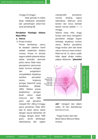 Modul Pendidikan Jarak Jauh, Pendidikan Tinggi Kesehatan 
minggu-6 minggu) 
Pada periode ini bidan 
tetap melakukan perawatan 
dan pemeriksaan sehari-hari 
serta konseling KB. 
Perubahan Fisiologis Selama 
Masa Nifas 
a. Uterus 
1). Proses Involusi 
Proses kembalinya uterus 
ke keadaan sebelum hamil 
setelah melahirkan disebut 
involusi. Proses ini dimulai 
segera setelah plasenta keluar 
akibat kontraksi otot-otot 
polos uterus. Pada masa 
pascapartum penurunan 
kadar hormon estrogen 
dan progesteron 
menyebabkan terjadinya 
autolisis, perusakan 
secara langsung 
jaringan hipertrofi yang 
berlebihan (Bobak, 
2005). Melalui proses 
katabolisme jaringan 
berat uterus cepat 
menurun dari 1000 
gram saat persalina 
menjadi 100 – 200 g 3 minggu 
pasca persalinan. Pada akhir 
kala III, besar uterus setara 
dengan ukuran kehamilan 20 
minggu dengan berat 1000 
gram.. Servik kehilangan 
elastisitasnya dan segera 
memperoleh konsistensi 
normal, dinding vagina 
edematous, kebiruan serta 
kendor dan tonus kembali 
kearah normal setelah 1 – 2 
minggu. 
Selama masa nifas, tinggi 
fundus uteri terus mengalami 
perubahan sebagai respon 
terhadap terjadinya involusi 
uterus. Berikut perubahan 
tinggi fundus uteri dan berat 
uterus menurut masa involusi. 
Pada hari ke 12, uterus sudah 
tidak dapat diraba melalui 
palpasi abdomen, “placental 
site” mengecil dan dalam 
waktu 10 hari diameternya 
kira-kira 2.5 cm. 
Tinggi Fundus Uteri dan 
Berat Uterus Menurut Masa 
Involusi 
Muara kelenjar bartholini 
(Sumber : Hart,et.al., 2000; 14) 
Kembali ke : Pendahuluan Uraian Materi Rangkuman Tes Formatif 7 
 