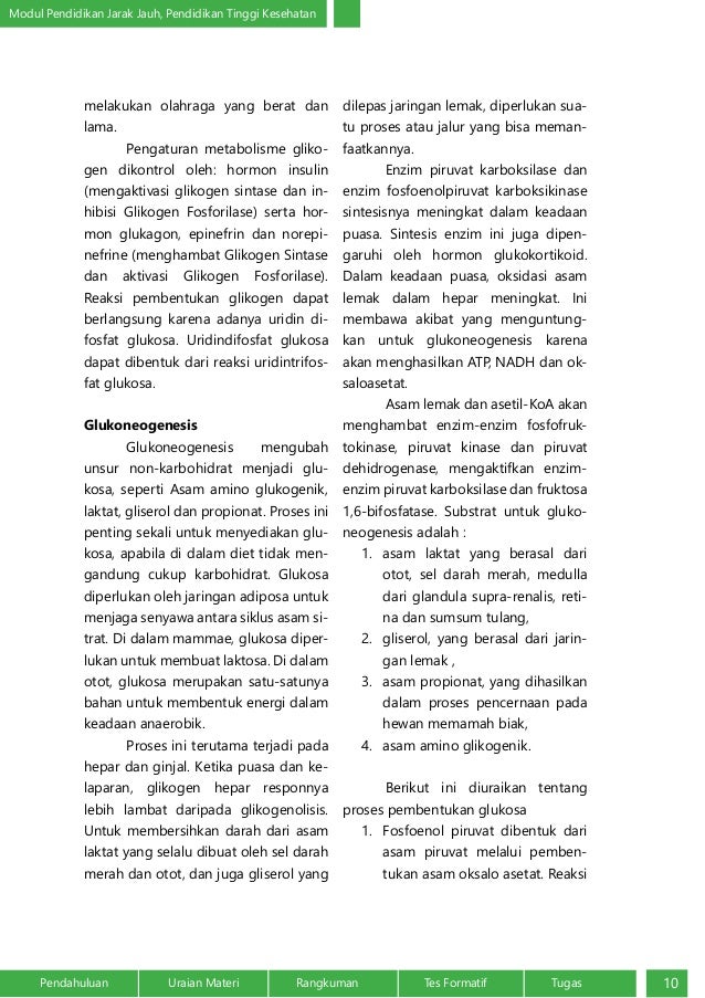 Metabolisme Karbohidrat