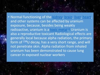 • Effects and precautions
• Normal functioning of the kidney, brain, liver, heart,
and other systems can be affected by uranium
exposure, because, besides being weakly
radioactive, uranium is a toxic metal.[] Uranium is
also a reproductive toxicant Radiological effects are
generally local because alpha radiation, the primary
form of 238U decay, has a very short range, and will
not penetrate skin. Alpha radiation from inhaled
uranium has been demonstrated to cause lung
cancer in exposed nuclear workers
 