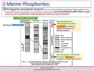 i) Marine Phosphorites:
The Egyptian phosphate deposits {occurring along the Red Sea coast between Safaga and Qusseir, along
the Nile Valley between Idfu and Qena, and in the Dakhla, and Kharga Oases} are considered with their huge
reserve as a potential submarginal resource of uranium.
29
Oil Shale
 