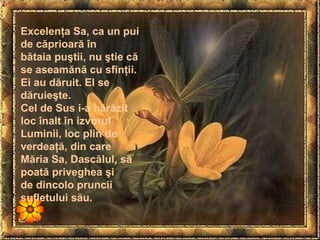Excelenţa Sa, ca un pui de căprioară în bătaia puştii, nu ştie că se aseamănă cu sfinţii. Ei au dăruit. El se dăruieşte. Cel de Sus i-a hărăzit loc înalt în izvorul Luminii, loc plin de verdeaţă, din care Măria Sa, Dascălul, să poată priveghea şi de dincolo pruncii sufletului său. 