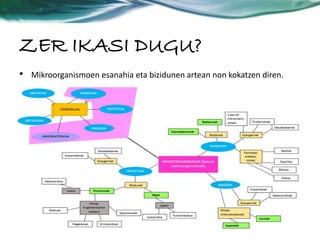 ZER IKASI DUGU? 
• Mikroorganismoen esanahia eta bizidunen artean non kokatzen diren. 
 