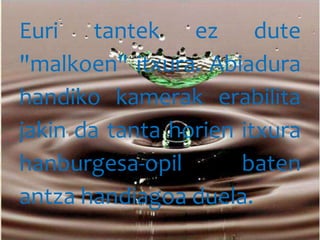 Euri tantek ez dute
"malkoen" itxura. Abiadura
handiko kamerak erabilita
jakin da tanta horien itxura
hanburgesa-opil baten
antza handiagoa duela.
 