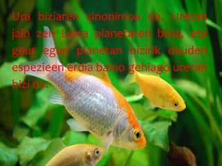 Ura biziaren sinonimoa da. Uretan
jaio zen Lurra planetaren bizia, eta
gaur egun planetan bizirik dauden
espezieen erdia baino gehiago uretan
bizi da.
 