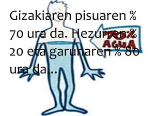 Gizakiaren pisuaren %
70 ura da. Hezurren %
20 eta garunaren % 80
ura da...
 