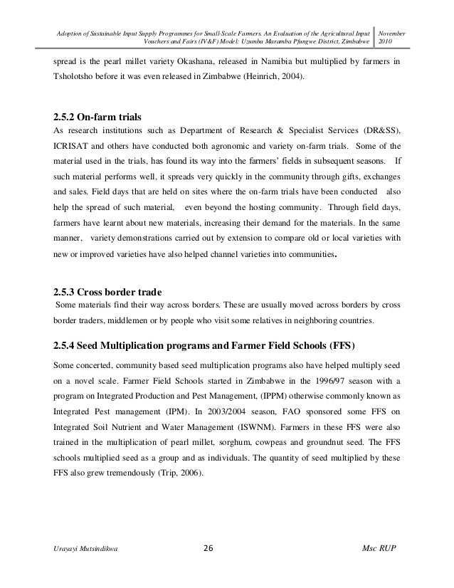 Thesis/Diss - Graduate Services