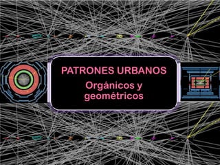PATRONES URBANOS
    Orgánicos y
    geométricos
 