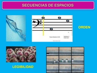 SECUENCIAS DE ESPACIOS




                             ORDEN




LEGIBILIDAD
 