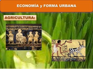 ECONOMÍA y FORMA URBANA
AGRICULTURA: