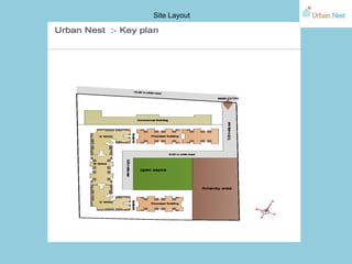 Site Layout
 