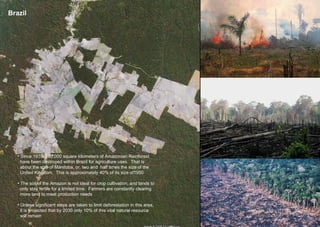 Brazil
• Since 1970, 600,000 square kilometers of Amazonian Rainforest
have been destroyed within Brazil for agriculture uses. That is
about the size of Manitoba, or, two and half times the size of the
United Kingdom. This is approximately 40% of its size of1950
• The soil of the Amazon is not ideal for crop cultivation, and tends to
only stay fertile for a limited time. Farmers are constantly clearing
more land to meet production needs
• Unless significant steps are taken to limit deforestation in this area,
it is projected that by 2030 only 10% of this vital natural resource
will remain
 