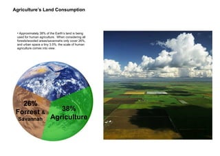 Agriculture’s Land Consumption
26%
Forrest &
Savannah
38%
Agriculture
• Approximately 38% of the Earth’s land is being
used for human agriculture. When considering all
forests/wooded areas/savannahs only cover 26%,
and urban space a tiny 3.5%, the scale of human
agriculture comes into view.
 