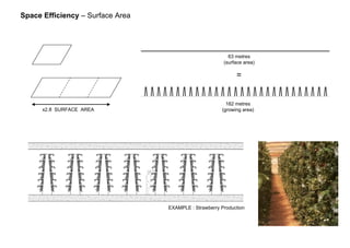 x2.8 SURFACE AREA
Space Efficiency – Surface Area
63 metres
(surface area)
182 metres
(growing area)
=
EXAMPLE : Strawberry Production
 