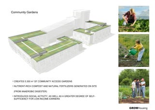 Community Gardens
• CREATES 5,300 m2
OF COMMUNITY ACCESS GARDENS
• NUTRIENT-RICH COMPOST AND NATURAL FERTILIZERS GENERATED ON SITE
(FROM ANAEROBIC DIGESTER)
• INTRODUCES SOCIAL ACTIVITY, AS WELL AS A GREATER DEGREE OF SELF-
SUFFICIENCY FOR LOW-INCOME EARNERS
GROWHousing
 