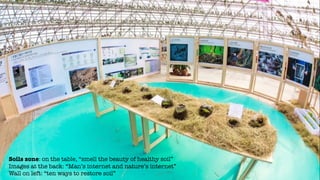 Urban-Rural exhibition, Shanghai, November 2019 (John Thackara personal slides) Slide 15