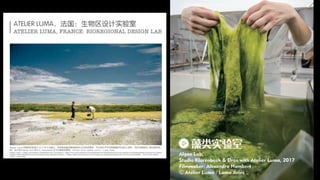 Urban-Rural exhibition, Shanghai, November 2019 (John Thackara personal slides) Slide 31
