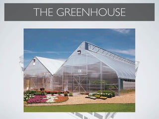 THE GREENHOUSE
 