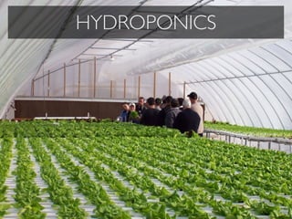 HYDROPONICS
 