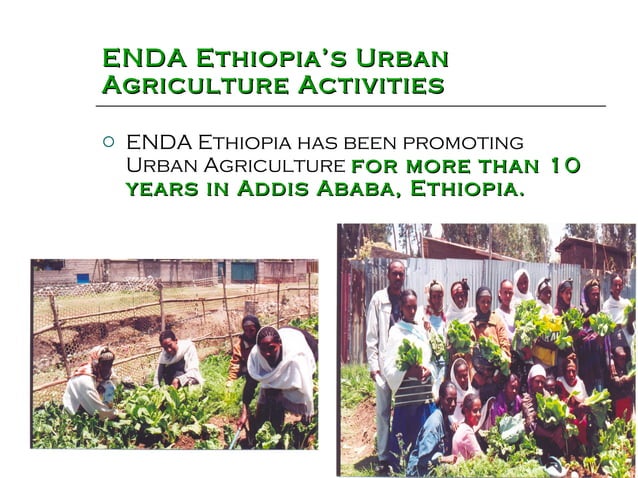 Urban agriculture and climate change enda ethiopia | PPT | Agriculture ...