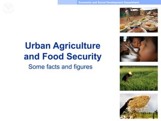 Economic and Social Development Department
Food and Agriculture
Organization of the
United Nations
Urban Agriculture
and Food Security
Some facts and figures
 
