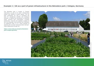 Comprehensive Benefits of Urban Agriculture for Sustainable Cities | PDF