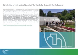 Comprehensive Benefits of Urban Agriculture for Sustainable Cities | PDF