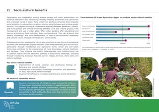 Comprehensive Benefits of Urban Agriculture for Sustainable Cities | PDF