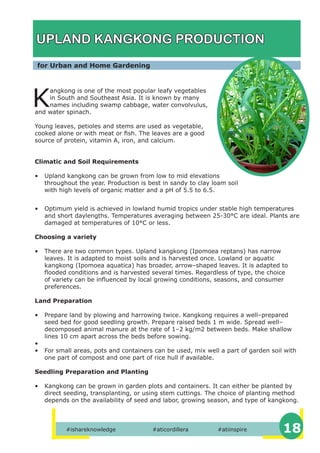 Basic Urban Gardening | PDF