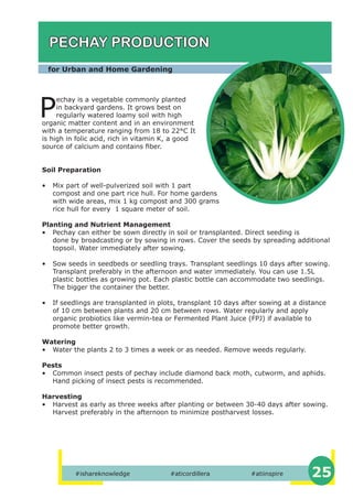 Basic Urban Gardening | PDF